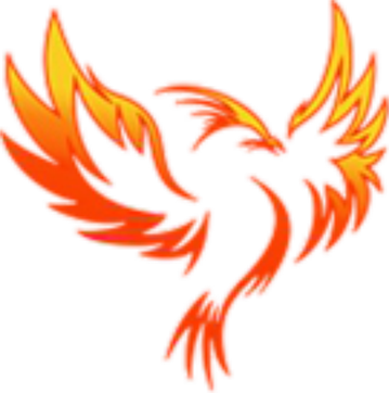 Phoenixnest India Pvt Ltd